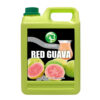 GUAVA JUICE