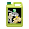 GINGER JUICE