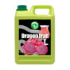 DRAGON JUICE
